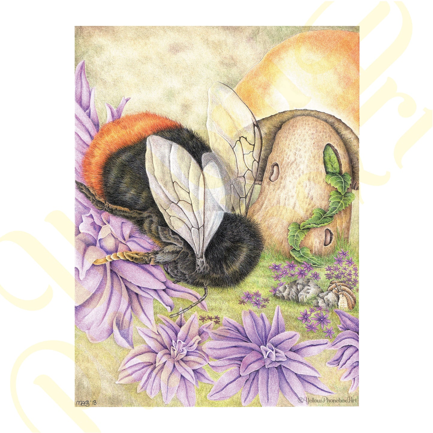 ‘Bumbles Bee’ - Print From Original Artwork - Wall Décor