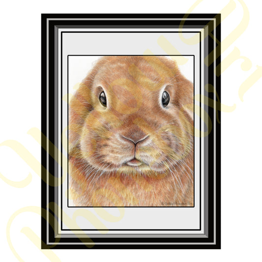 'Bunny' - Art Print from Original Artwork - Wall Décor