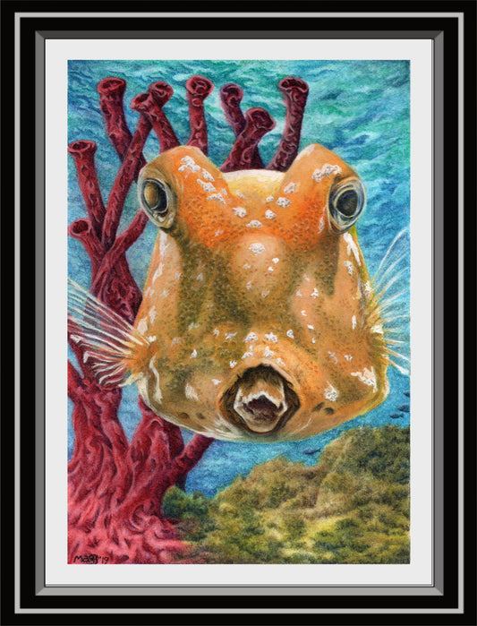 ‘Boxfish Are Cute Too!’ Print From Original Artwork - Wall Décor