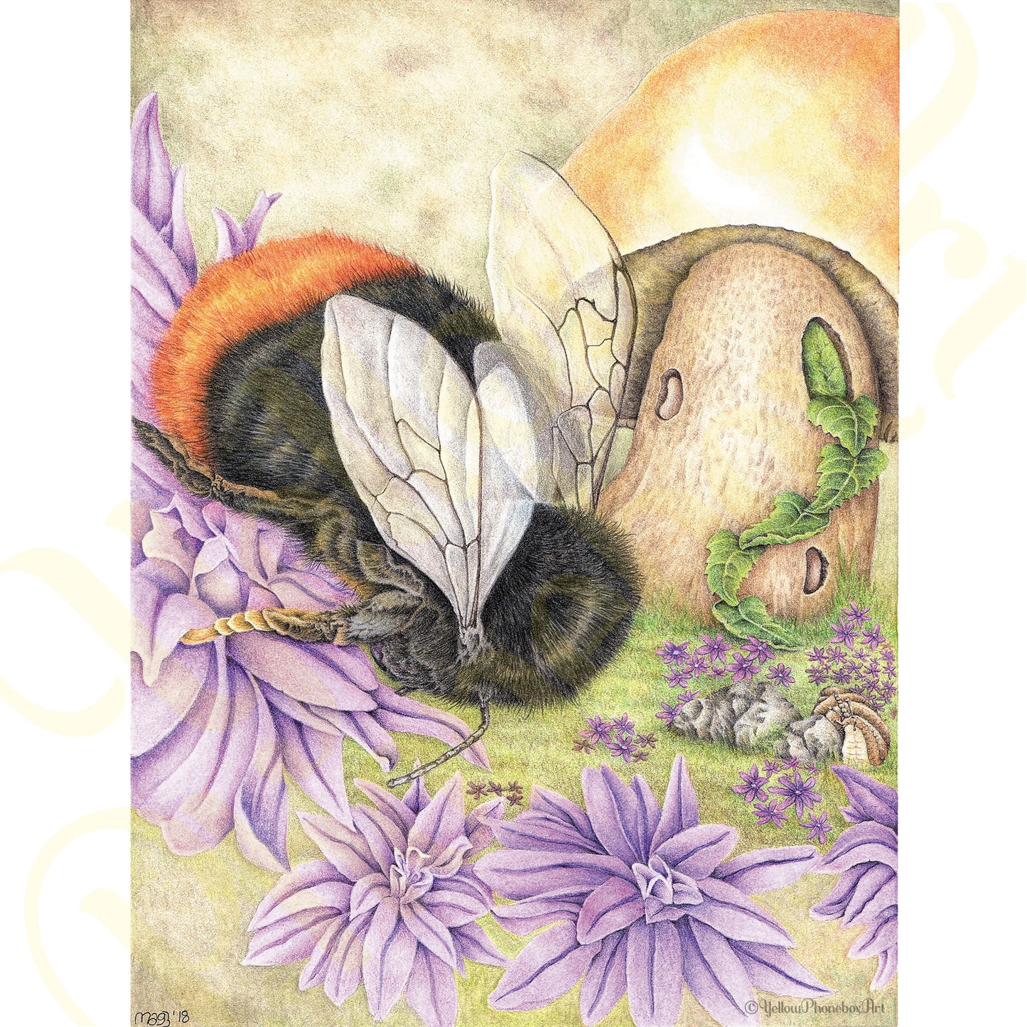 ‘Bumbles Bee’ - Print From Original Artwork - Wall Décor