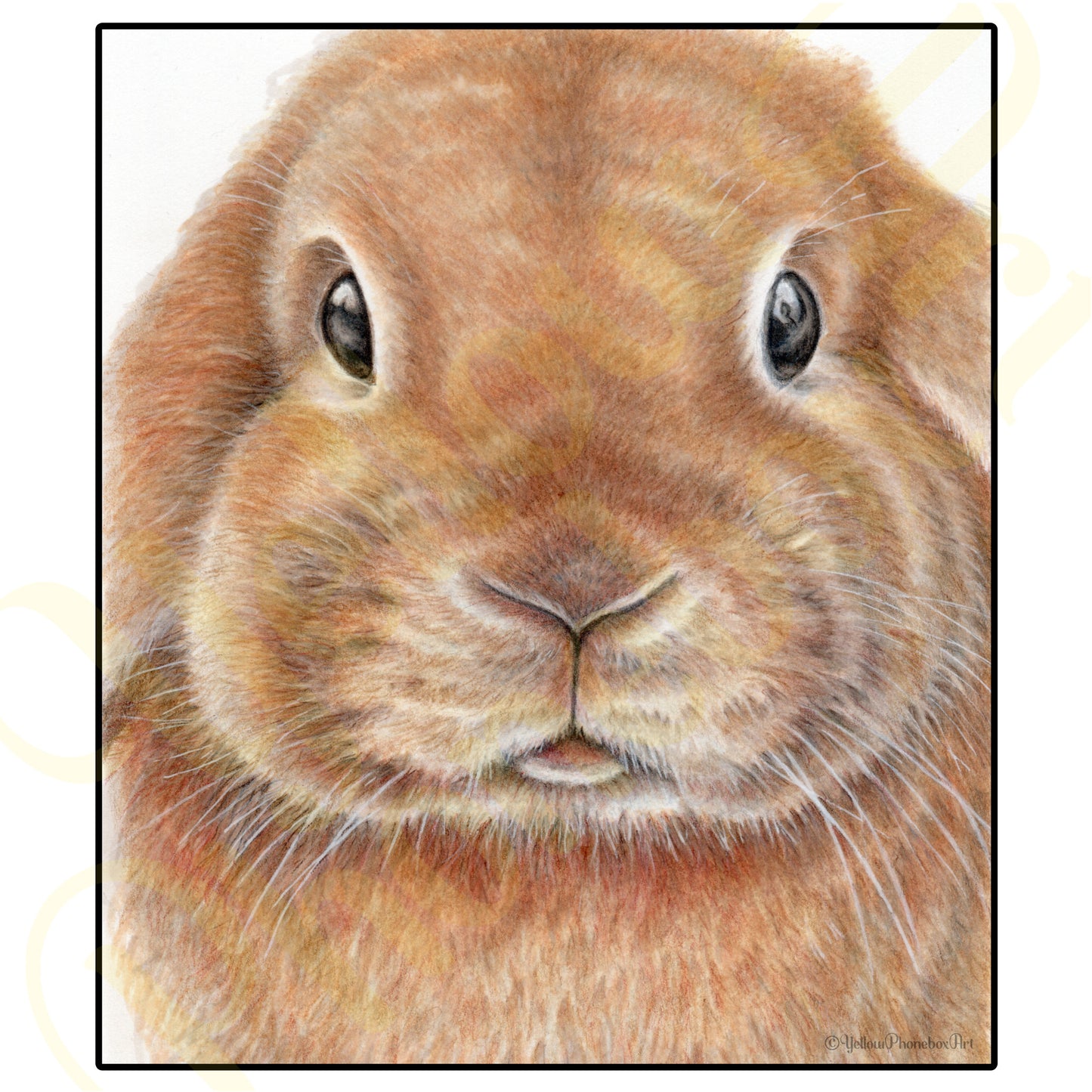 'Bunny' - Art Print from Original Artwork - Wall Décor