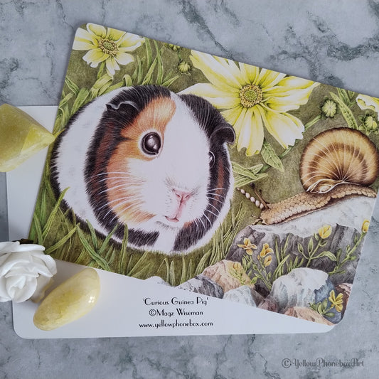 ‘Curious Guinea Pig’ - Matte Finish Postcard With Rounded Corners