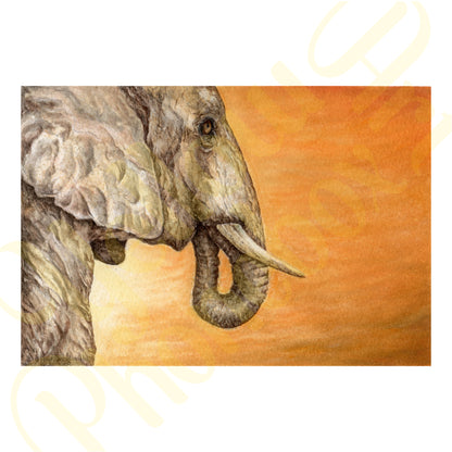 ‘Elephant Sunset’ - Print From Original Artwork - Wall Décor