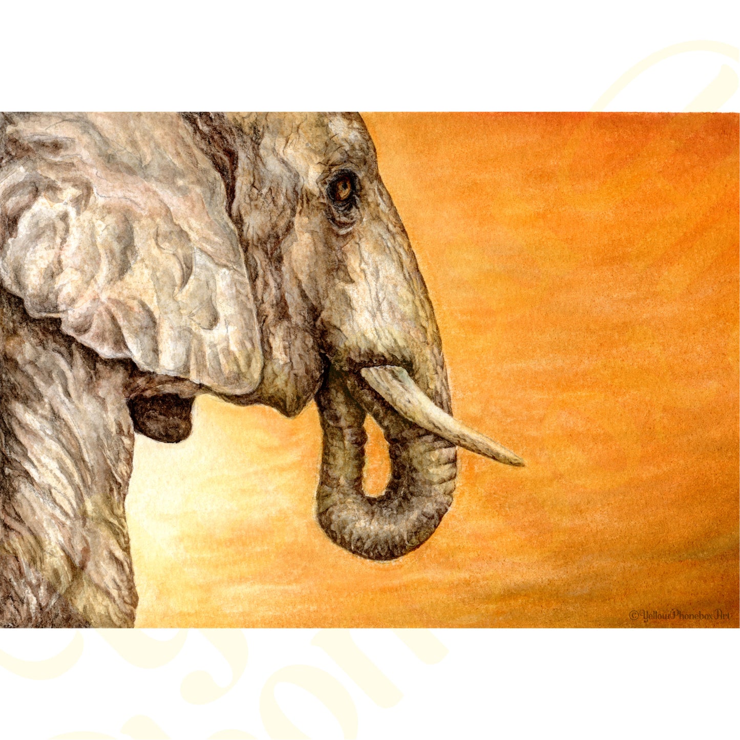 ‘Elephant Sunset’ - Print From Original Artwork - Wall Décor