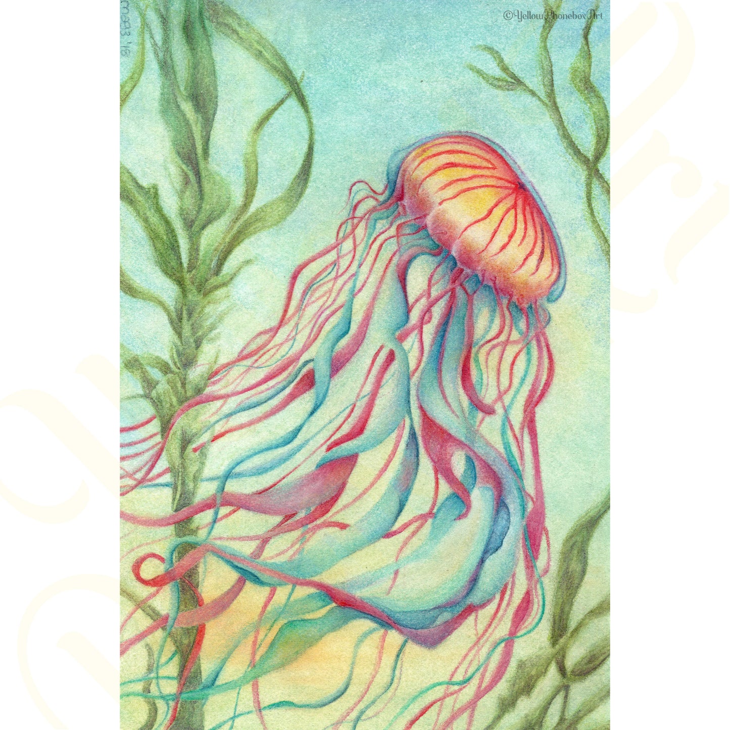 ‘Jellyfish’ - Print From Original Artwork - Wall Décor