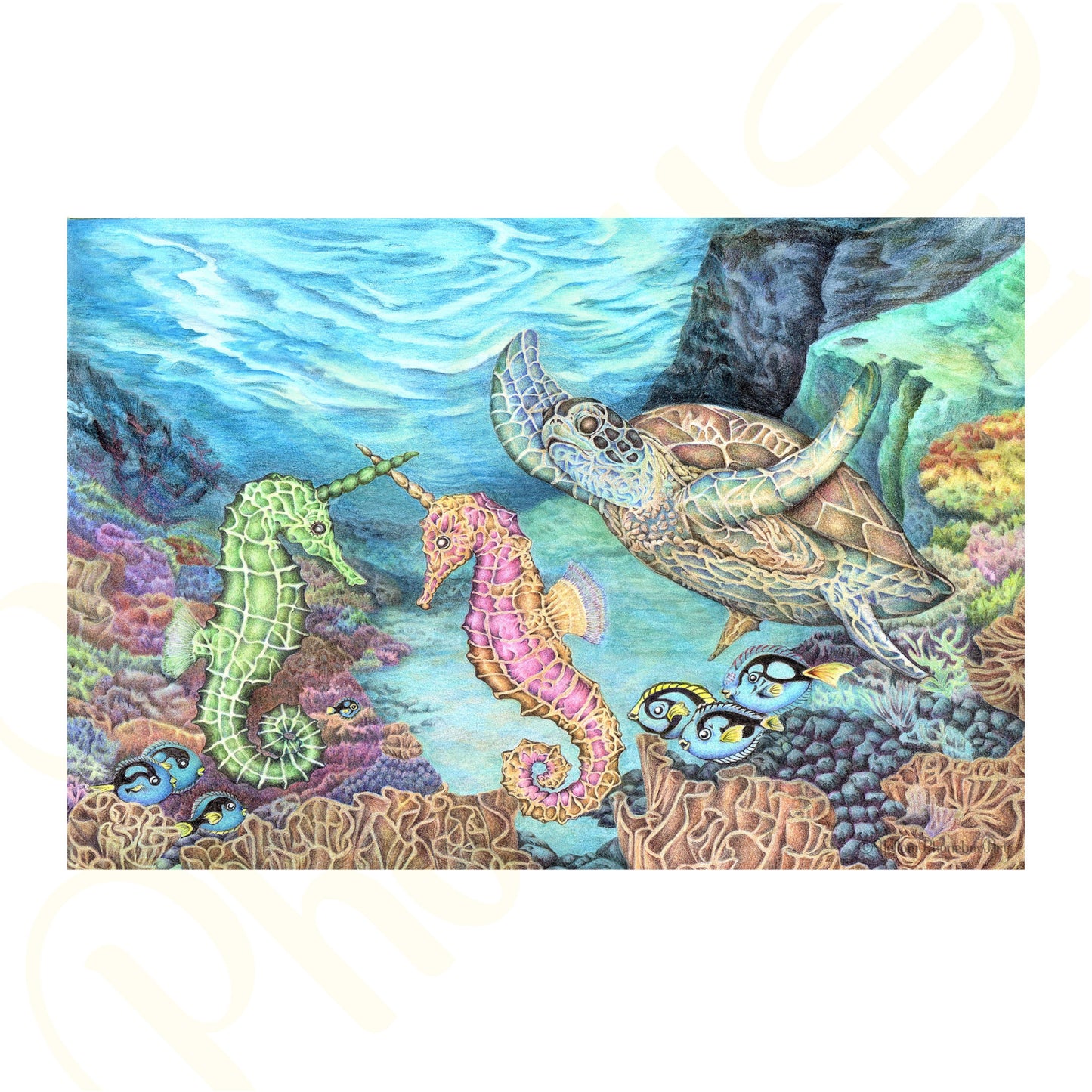 ‘Jousting Seahorses’ - Print From Original Artwork - Wall Décor