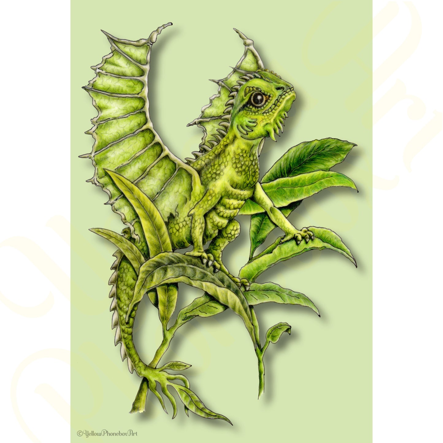 ‘Leaf Dragonlet’ - Handmade Greetings Card With Envelope