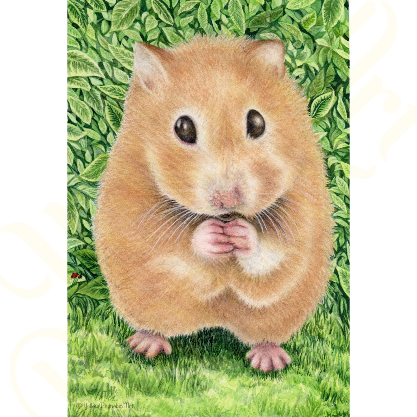 ‘Little Hamster’ - Handmade Greetings Card With Envelope