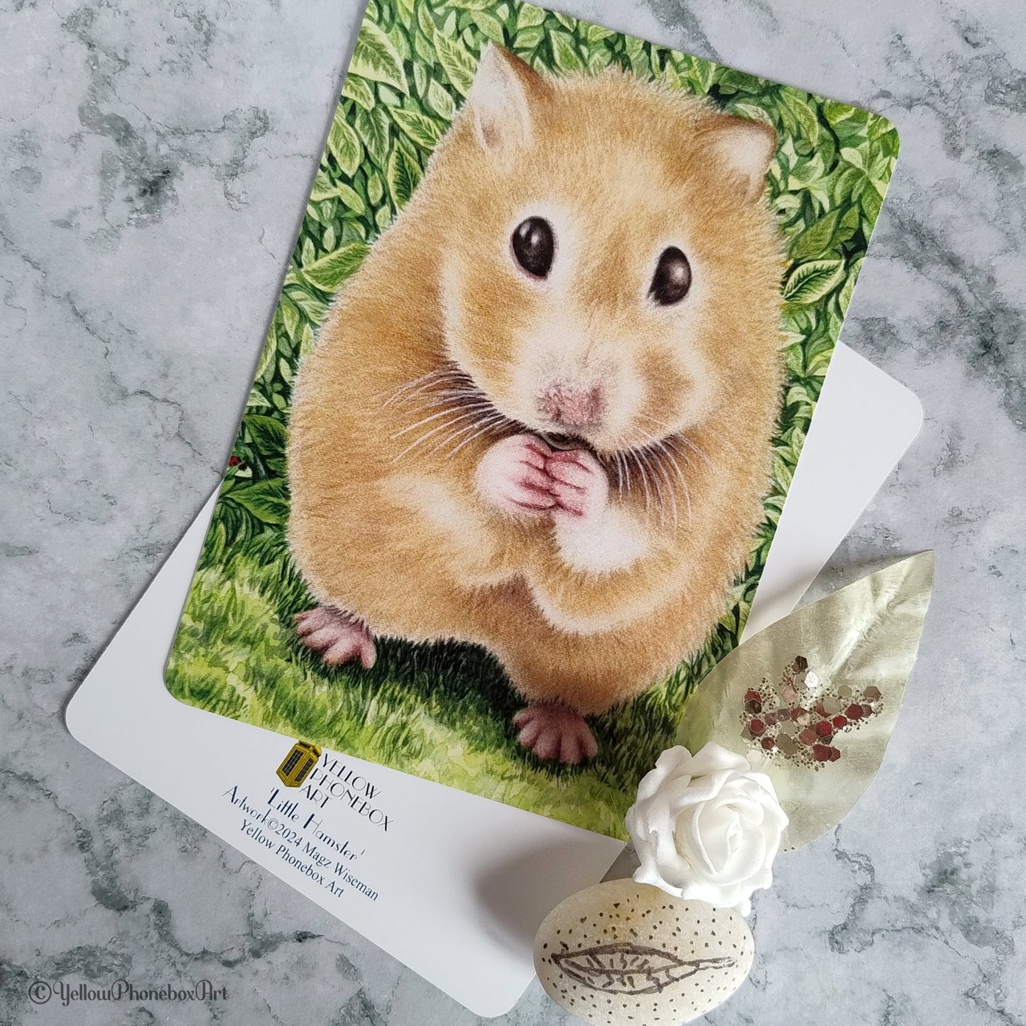 ‘Little Hamster’ - Matte Finish Postcard With Rounded Corners