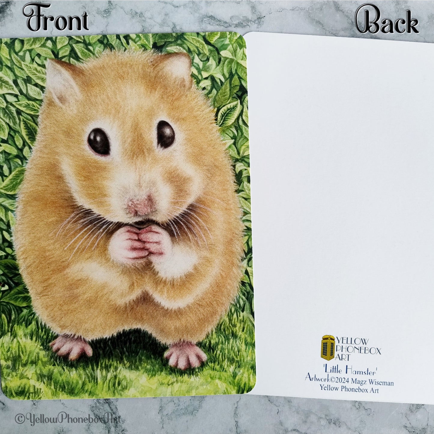 ‘Little Hamster’ - Matte Finish Postcard With Rounded Corners