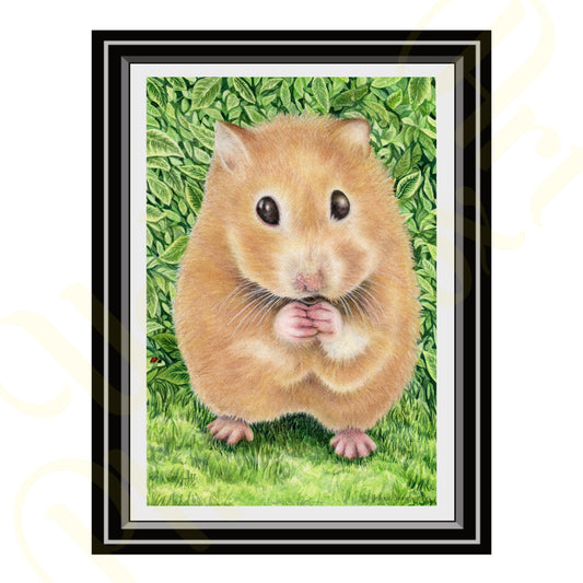 ‘Little Hamster’ - Print From Original Artwork - Wall Décor