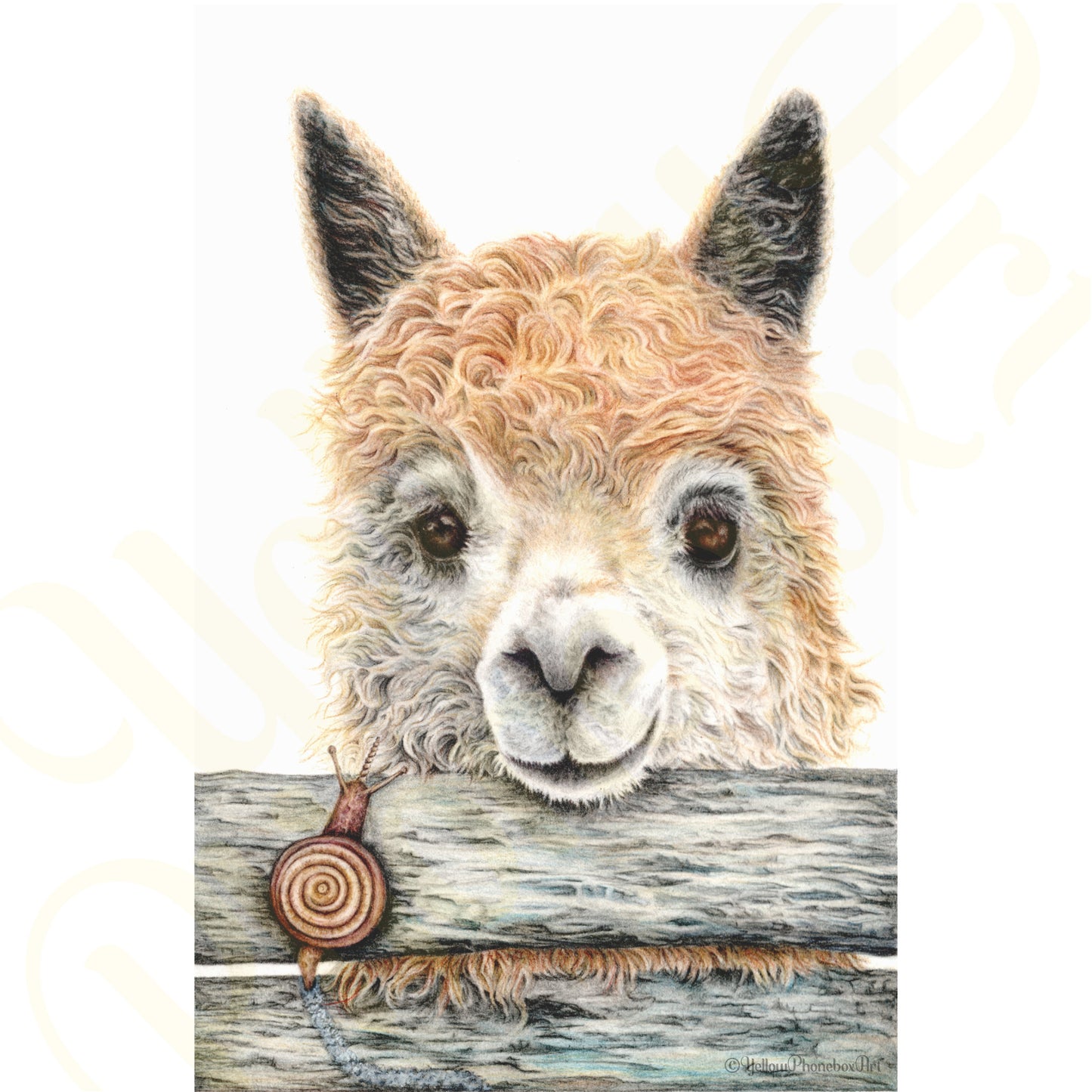 ‘Llampaca’ - Handmade Greetings Card With Envelope