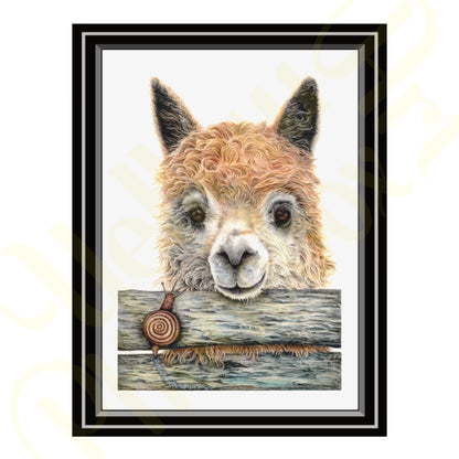 ‘Llampaca’ - Print From Original Artwork - Wall Décor